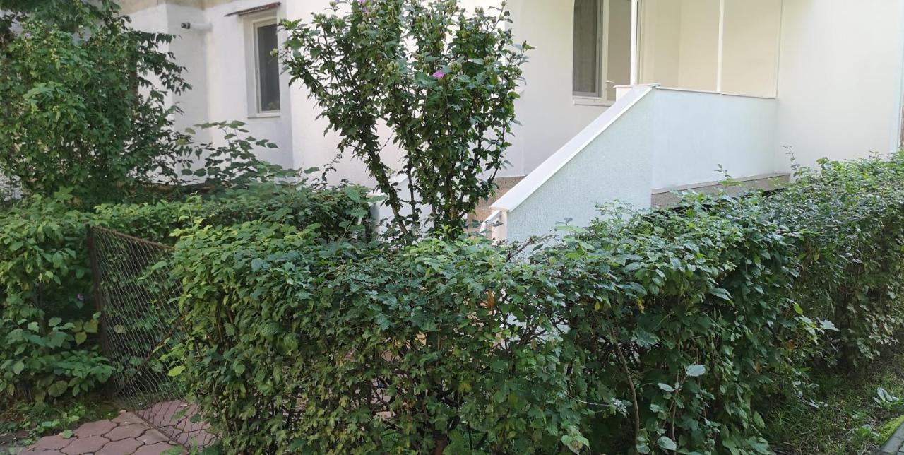 Diamond Apartment Targu Mures Exterior photo